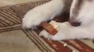 Чистим зубки