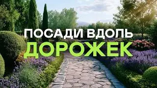 🌺САД «БОМБА» : 30 лучших многолетников ВДОЛЬ ДОРОЖЕК