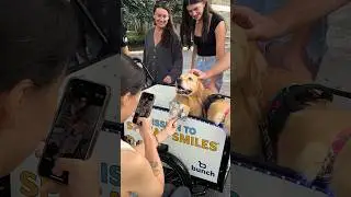 My dogs welcome students to campus