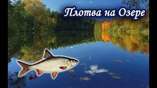 Ловим Плотву на Озере. Русская Рыбалка 3.99.