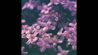 (FREE) SZA x J COLE TYPE BEAT 