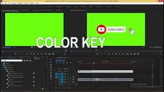 Easy Way To Remove Green Screen in Premiere Pro 2022