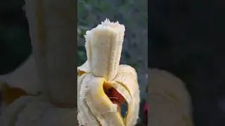 who ate the banana
