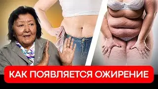 Как появляется ожирение?