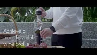 Аэратор для вина Vinaera Classic в магазине Gordian