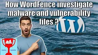 Investigate WordFence Malware Results