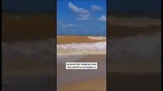 В Крыму несколько человек прыгнули в Шторм!