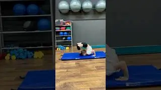 Упражнение «Клубочек». Гибкая спина