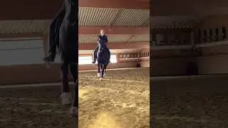 Equestrian | Horse Woman