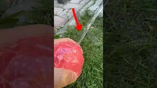 Моментальная заморозка