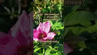 Как правильно встречать День Рождения?🌌 
