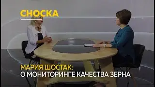 О государственном мониторинге зерна | Сноска