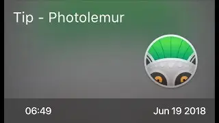 SCOM0744 - Tip - Photolemur