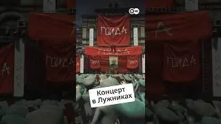 Кремлевские хунвейбины 