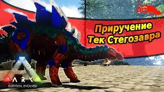 Приручаем ТЕК Стегозавра 168 уровня. Выживание с Эми в ARK:Survival Evolved на карте Fjuordur