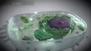 Water comes from Space! - alternative view by Russian scientist