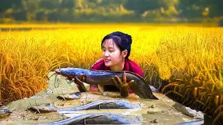 The girl catch fish in a stream & MONSTER fish attack suddenly,smoked crocodile|Ella-Free Bushcraft