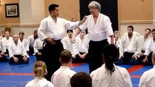 Yamada Sensei Katatori Menuchi Shihonage