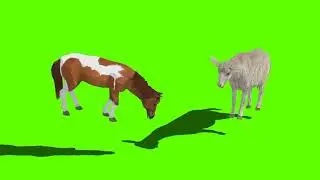 Green Screen horse | green screen sheep | green screen | @syedashahtv