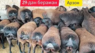 ХИСОРИ КУЙ НАРХЛАРИ ТУШДИ