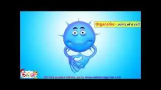 Animals Cells Structure & Functions Animation Video for Kids