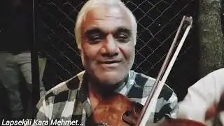 Kara Mehmet (yuvasız kuşlar)