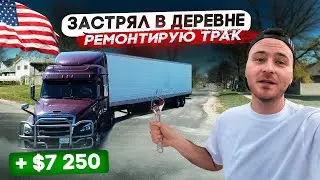 Грузов нет!/Гросс за неделю