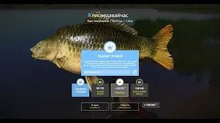 #РР4