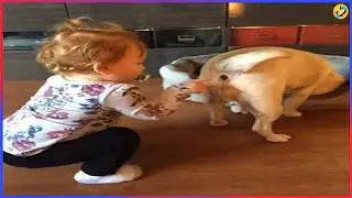 Best FUNNY Videos of 2025 😂😁 | Try Not To Laugh Impossible #29