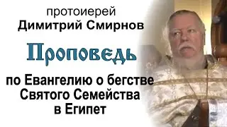 Проповедь по Евангелию о бегстве Святого Семейства в Египет (2011.01.09)