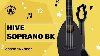 Обзор на укулеле BUMBLEBEE HIVE SOPRANO BK