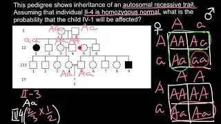 How To Solve Pedigree Problems