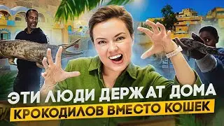 Эти люди держат дома крокодилов вместо кошек.
