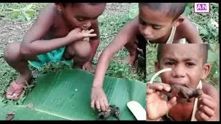 primitive technology small kids found birds nest chicken cooking and eating delicious Amazing Nature