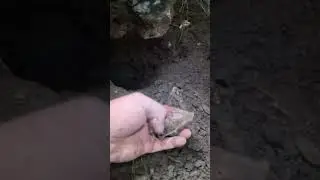 Defineciler Kaya Oymasından Hazineyi Çıkardı !!