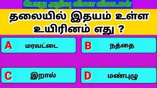 தமிழ் பொது அறிவு வினா விடை| Tamil General Knowledge Questions with Answers for Genius#gk #general