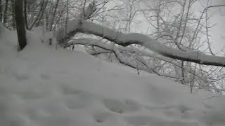 Двигаюсь вдоль реки Пахра, в снегопад.