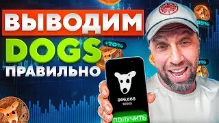 ❗ СРОЧНО! ЛИСТИНГ DOGS УЖЕ СКОРО! Как вывести токены правильно!