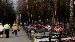 Город Серпухов едят на кладбище