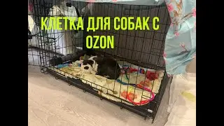 КЛЕТКА ДЛЯ СОБАК С OZON \ ДОМ ДЛЯ БУРЛЫГИ (ЗЕВС)