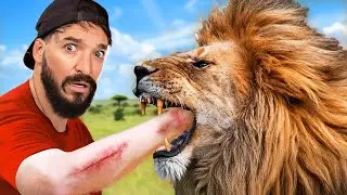 HAND FEEDING WILD LIONS! (9 DAYS IN AFRICA - TRIP OF A LIFETIME)