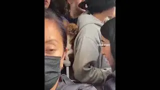 Ты вечером в электричке | Подпишись на смех