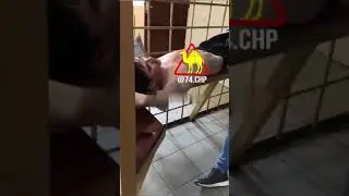 КАЗАНЬ СТРЕЛЬБА ТЕРАКТ