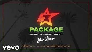 King Promise - Slow Down (Remix - Visualiser) ft. Maleek Berry