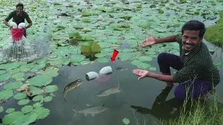 Fish Trap | பழைய வாளி 🪣 வெச்சி மீன் வேட்டை | Working 💯 | Simple Fish trap with Old Bucket..!? MmK