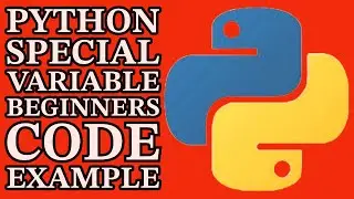 Python Beginner's Guide: Using Special Variables 2024