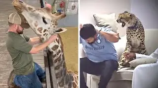 Animal Interactions with Humans