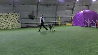 34 Давыдова Светлана Norgen Forsal