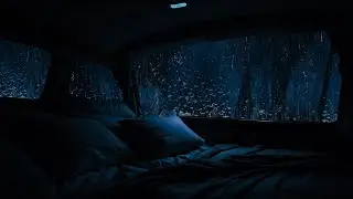 Immerse yourself in the Gentle Rain Amidst the Forest - A Perfect Scene for a Serene Sleep.