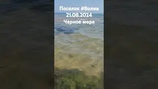 Поселок #Волна. 21.08.2024 Черное море, дикий пляж!